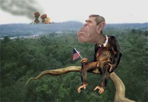 color caricature by jon mccarthy of president george w bush as a monkey